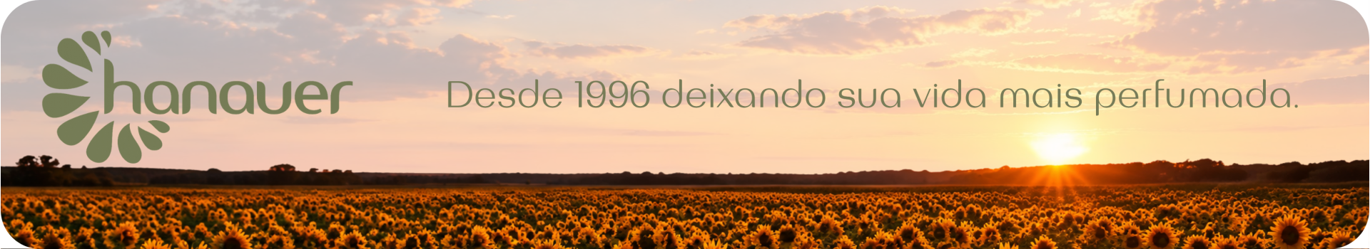 Desde 1996